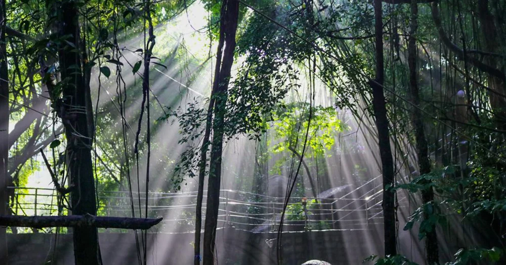 Chùa Phật Quang Vũng Tàu: Hướng Dẫn Tham Quan Mới Nhất 10 Hình Ảnh Chùa Phật Quang Vũng Tàu (4)